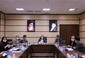 تسهیلات اشتغال پایدار روستایی در استان تنها ۳٫۸ درصد انحراف داشته است