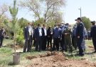 فرودگاه شهید مدنی تبریز به جزیره‌ای سبز تبدیل می‌شود