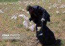 مدیریت پسماند از دغدغه های اصلی جوامع بشری امروز است