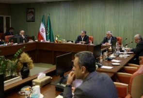 ساداتی‌نژاد تاکید کرد: تسریع تامین و توزیع نهاده‌های دامی در سامانه بازارگاه