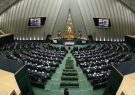 دخالت نمایندگان آفت است یا عافیت؟!/ مستاجران بهارستان در ردای نمایندگی با لباس وزارت