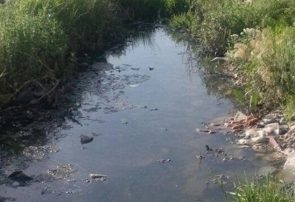 از شایعه تا واقعیت آبیاری زمین‌های کشاورزی تبریز با فاضلاب
