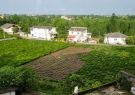 تبدیل اراضی کشاورزی به باغات برای تفریح افراد خاص!/ آب کشاورزی در اختیار ویلاداران