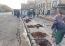 اجرای فاز دوم کاشت درختان بومی در پیاده روهای بلوار جمهوری اسلامی اجرای فاز دوم کاشت درختان بومی در پیاده روهای بلوار جمهوری اسلامی