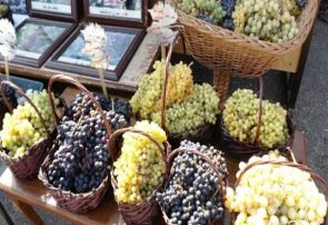 جشنواره «انگور و دوشاب» در تفرجگاه عینالی برگزار میشود جشنواره «انگور و دوشاب» در تفرجگاه عینالی برگزار میشود