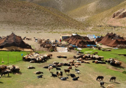 اگر کوچ به صورت مکانیزه انجام نمی‌شد عشایر هم گرفتار بیماری کرونا می‌شدند