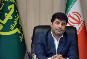 الگوهای کشت بر اساس توان صادراتی و نیاز هر شهرستان تعیین میشود الگوهای کشت بر اساس توان صادراتی و نیاز هر شهرستان تعیین میشود