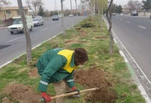 انجام اقدامات ضروری نگهداری؛ همراستا با توسعه فضای سبز انجام اقدامات ضروری نگهداری؛ همراستا با توسعه فضای سبز