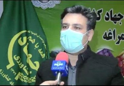 بازگشت ۵ واحد مرغداری مراغه به چرخه تولید