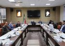 جشنواره نمانام (برند) محصولات روستایی استان امسال برگزار می‌شود