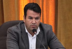 مدیریت شهری باید پاسخگو باشد!/ در فضای سبز تبریز مشکل داریم مدیریت شهری باید پاسخگو باشد!/ در فضای سبز تبریز مشکل داریم