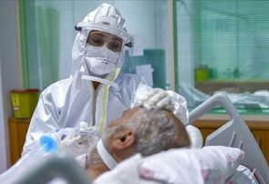 بیدار شدن کرونا از خواب بهاری بیدار شدن کرونا از خواب بهاری