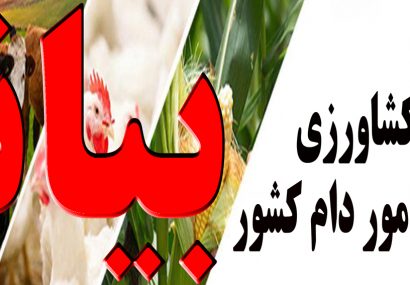 بیانیه شرکت پشتیبانی امور دام کشور در خصوص متن منتشر شده در رسانه فودپرس مورخ دوم مرداد ماه ۱۴۰۱ با عنوان نارضایتی تامین کنندگان گوشت مرغ منجمد وارداتی از عملکرد شرکت پشتیبانی امور دام کشور بیانیه شرکت پشتیبانی امور دام کشور در خصوص متن منتشر شده در رسانه فودپرس مورخ دوم مرداد ماه ۱۴۰۱ با عنوان نارضایتی تامین کنندگان گوشت مرغ منجمد وارداتی از عملکرد شرکت پشتیبانی امور دام کشور