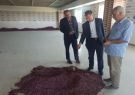 بازدید فرماندار آذرشهر از کارگاه فرآوری محصولات کشاورزی در روستای خراجو