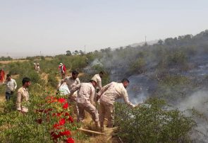 آتش سوزی در مراتع مشجر و مزارع خداآفرین مهار شد آتش سوزی در مراتع مشجر و مزارع خداآفرین مهار شد
