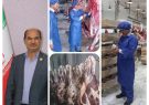 طرح خرید دام مازاد پرواری در استان یزد 