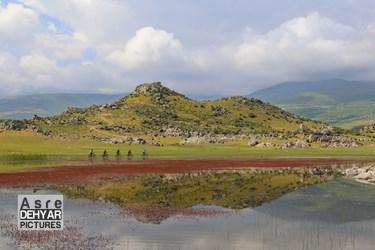 چشم اندازهای زیبای تالاب ها و آبگیر های شهرستان اهر