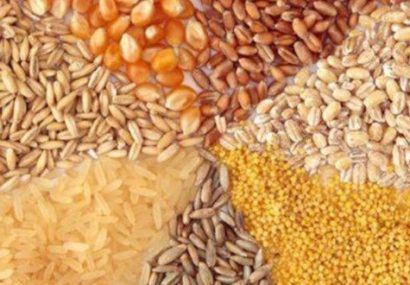 آمار واردات نهاده های دام و طیور در چهار ماهه امسال اعلام شد + جدول آمار واردات نهاده های دام و طیور در چهار ماهه امسال اعلام شد + جدول