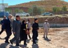 دادستان تبریز: بحران سگ‌های ولگرد با حفظ حقوق حیوانات رفع می‌شود