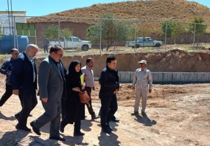دادستان تبریز: بحران سگ‌های ولگرد با حفظ حقوق حیوانات رفع می‌شود