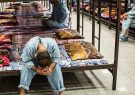 ۶ درصد معتادان کشور زنان هستند / میزان معتادان دانش‌آموز و دانشجو در آذربایجان‌شرقی
