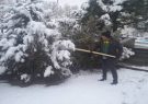 برف‌تکانی درختان فضاهای سبز شرق‌تبریز توسط شهرداری منطقه ۵
