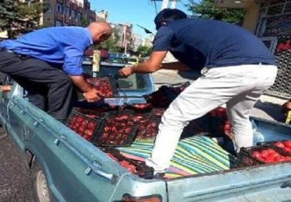 جمعآوری ۱۸۵ خودرو سد معبری و طبق میوه فروش از سطح منطقه ۴ جمعآوری ۱۸۵ خودرو سد معبری و طبق میوه فروش از سطح منطقه ۴