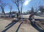 تداوم عملیات حفاظتی درختان در سطح شهر تبریز با تمرکز بر محورهای پرتردد تداوم عملیات حفاظتی درختان در سطح شهر تبریز با تمرکز بر محورهای پرتردد