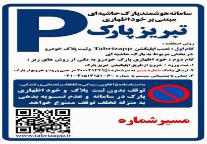 پارک حاشیه‌ای تبریز در اشغال خودروهای ثابت؛ سهم ۸۰ درصدی اصناف و کسبه